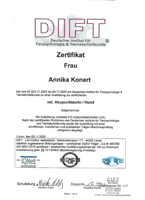 Ausbildung Akupunktur, Teil 1