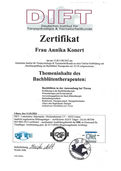 Fortbildung Bachblütentherapie