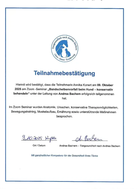 Fortbildung Bandscheibenvorfall
