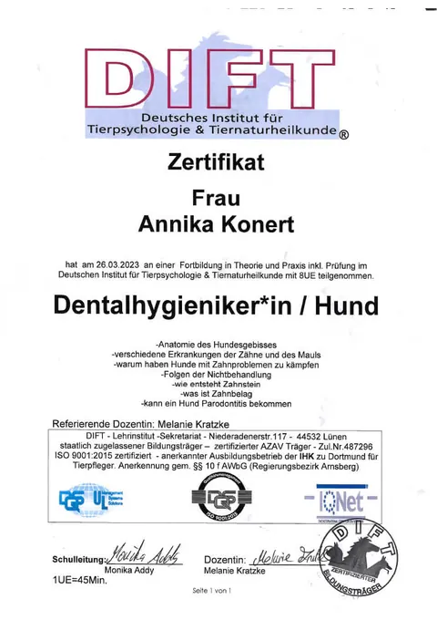 Fortbildung Dentalhygiene beim Hund