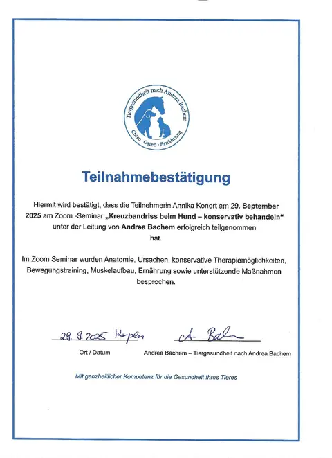 Fortbildung Kreuzbandriss