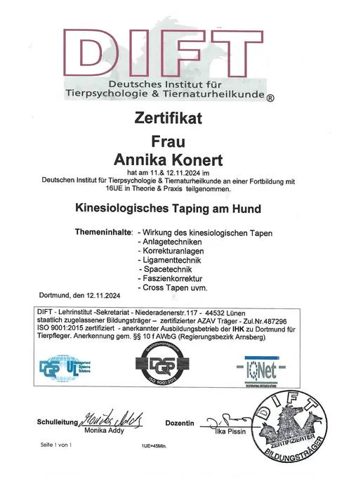 Fortbildung Kinesiologisches Taping