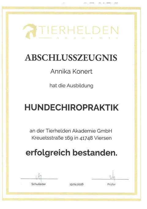 Ausbildung Hundechiropraktik