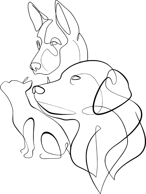 4Pfoten-Physio